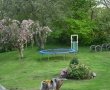 trampolin-have2.jpg