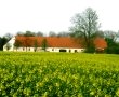 hus-ude-lille-web.jpg