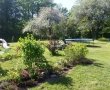 haven-med-planter.jpg